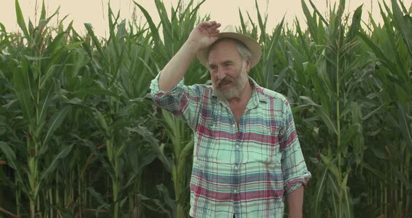 Happy Senior Farmer Putting on Hat, Crossing Hands and Rejoices in Corn Field alt