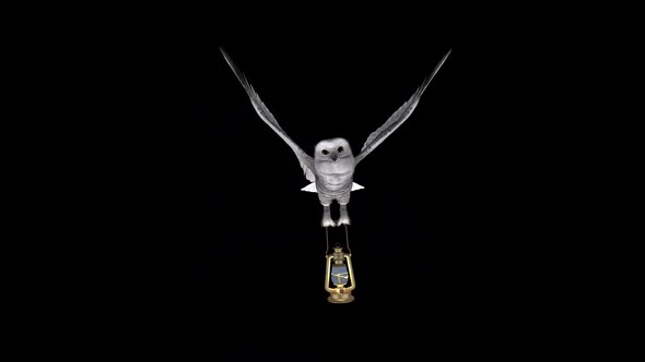 White Owl With Golden Lantern - Flying Loop - Front View - Alpha Channel