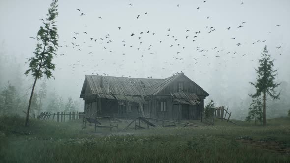 An Old Abandoned Hut