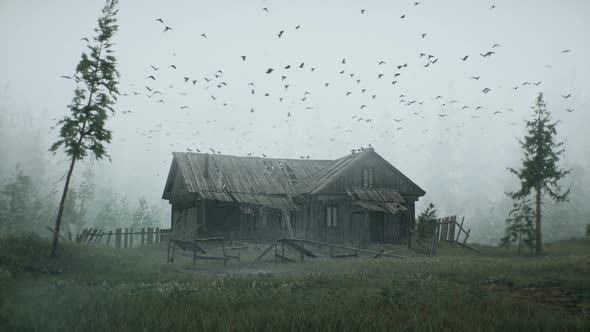 An Old Abandoned Hut alt