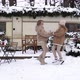 Mom and daughter are jumping in the snow holding hands - VideoHive Item for Sale