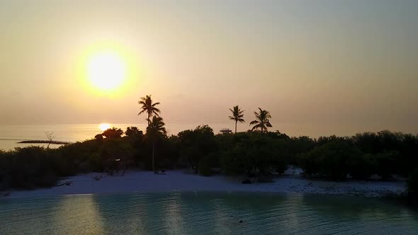 Aerial drone abstract of resort beach wildlife by ocean with sand background alt