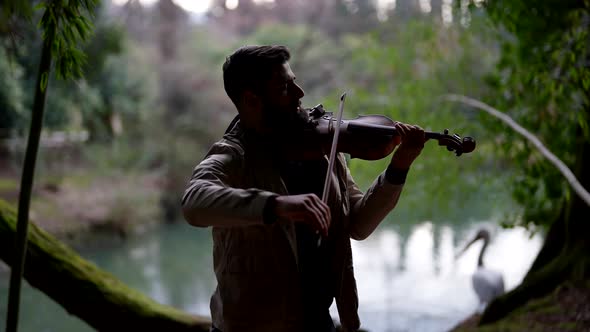 A Street Musician a Classical Violinist Playing a Classical Wooden Violin an Autumn Park in the alt