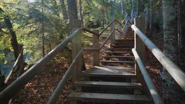 Climbing a wooden staircase in a spring park