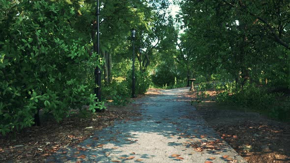Empty Footpath in Park at Summer alt