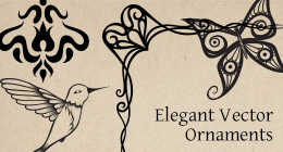 Elegant Vector Ornaments
