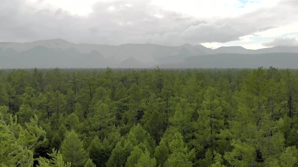 A Mongolian White Ger Tent in The Northern Mongolia Forest alt