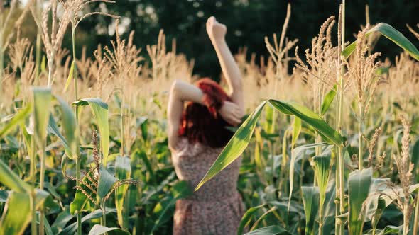 Beautiful Woman Walking on a Sunny Corn Field alt