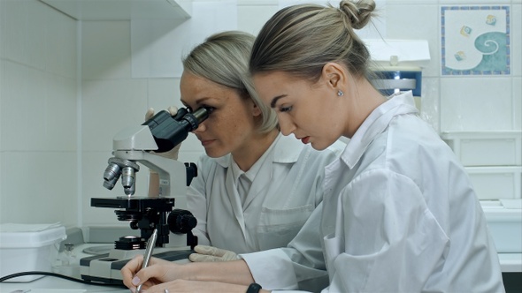 Two young female scientists writes report in modern laboratory
