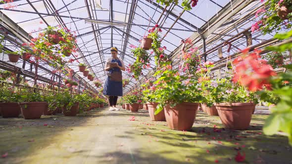 Gardener with Tablet Work in Greenhouse