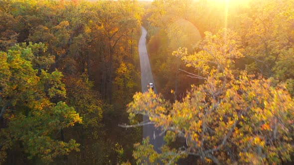 Aerial View on Car Driving Through Autumn Forest Road alt
