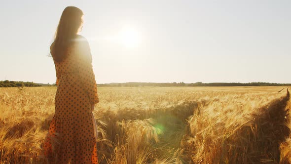 Pregnant woman in the rays of the sunset in the field alt