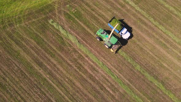Harvester Collects Green Grass in the Body of a Car Aerial View alt