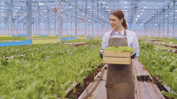 Young Woman Working in Greenhouse alt