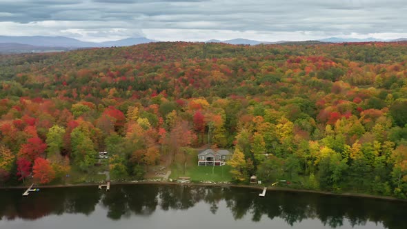 Nature Background Cinematic Colorful Fall Foliage on Evergreen Forest Lakes alt