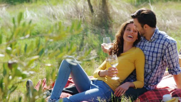 Romantic couple having a glass of wine in olive farm 4k alt
