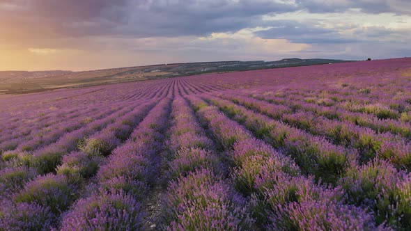 Aerial Nature Landscape Video