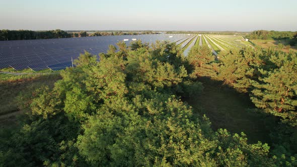 Aerial View Solar Power Station on Green Field at Sunset Solar Panels in Row alt