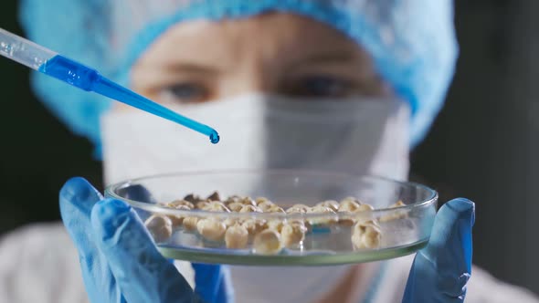 The Researcher Conducts a Genetic Experiment  Treats Plant Seeds with Chemical Reagents alt