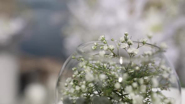 white small decorative flowers close-up at the wedding