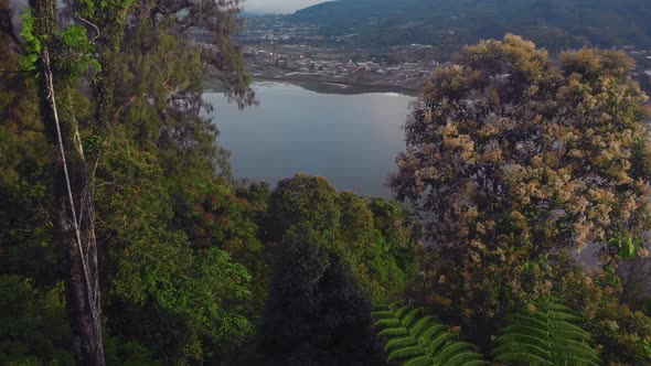 Flight Overlooking the Sacred Lakes of Tamblingan and Beratan Located High in the Mountains  alt