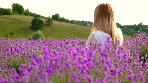Woman in a Lavender Field alt