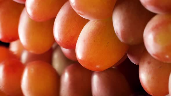 Macro Dolly Video of Fresh Ripe Grapes alt