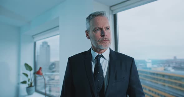 Attractive adult businessman inside modern office interior alt