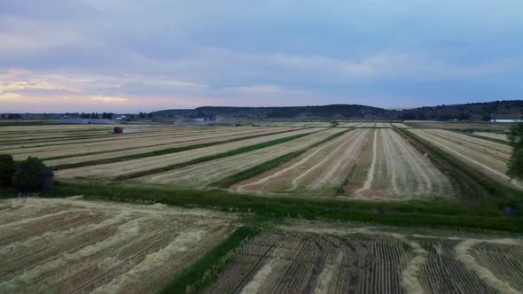 Wheat Fields 