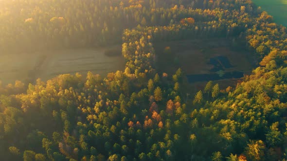 Autumn Colors with Orange Red Trees in October at National Park Drentsche Aa Colorful Autumn Trees alt