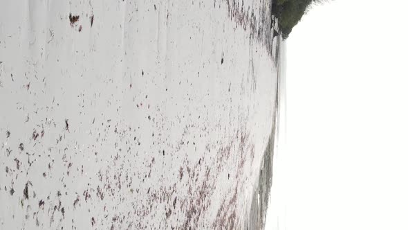 Zanzibar Tanzania  Vertical Video Empty Beach Slow Motion alt