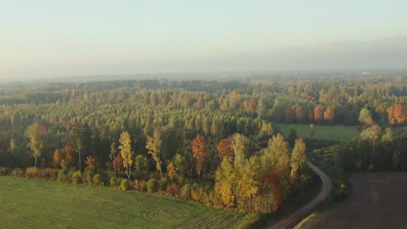 Aerial View of Autumn Forest alt