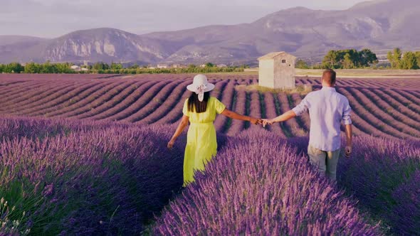 Provence Lavender Field France Valensole Plateau Colorful Field of Lavender Valensole Plateau alt