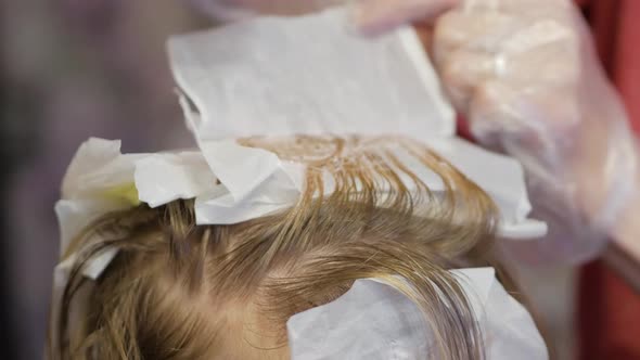 Close-up side view of strand of female hair on special sheet of foil, the master applies hair brush