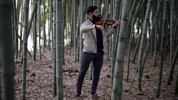 Talented Musician is Playing Fiddle in Nature Musician is Rehearsing in Bamboo Grove alt
