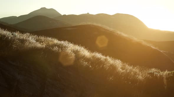 Sunset Over the Valley Fields alt
