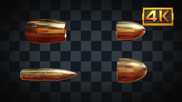 [4 In 1]Bullet