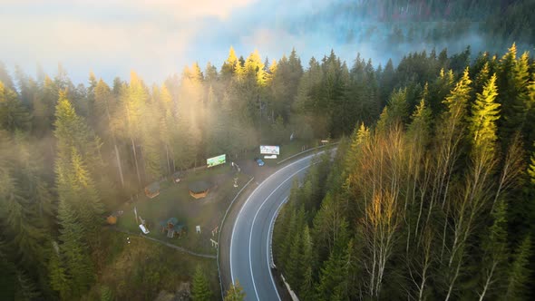 Aerial View Og Curvy Road Between Evergreen Forest with Green Pine Trees in Summer Mountains alt