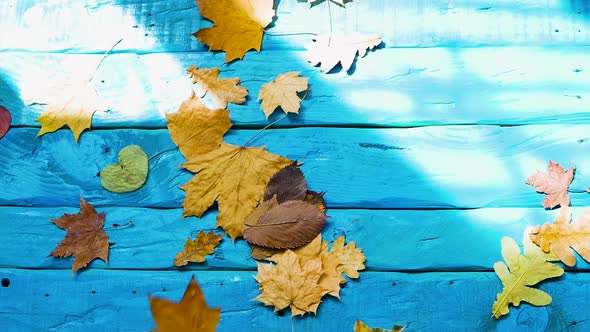 Autumn Background, Foliage Falls On Vintage Blue Table, Yellow Foliage On Copy Space Boards
