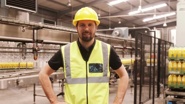 Portrait of worker standing with hands on hip in factory alt
