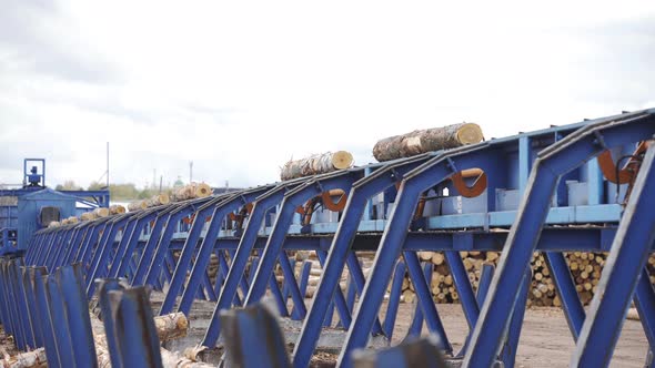 Production of Timber From Wood. Woodworking. Machining Logs. The Logs in the Sawmill Are Moving alt