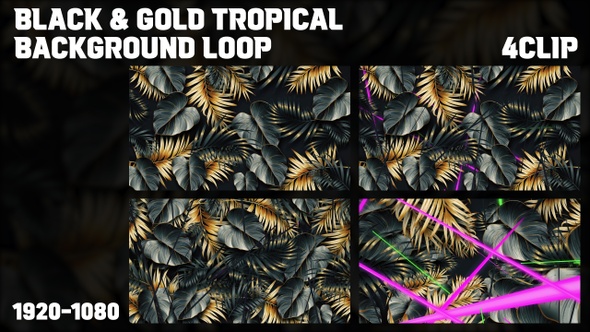 Tropical Background 4Clip Loop