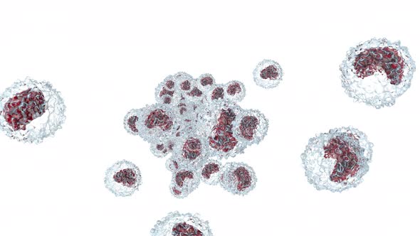 Monocyte cells flowing in front of a white background