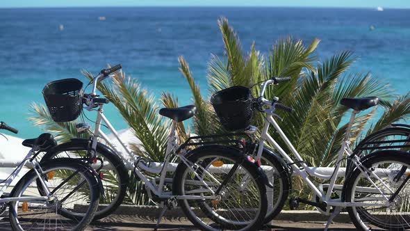 Bicycles for Family Trips During Vacation at Resort Town Active Recreation alt