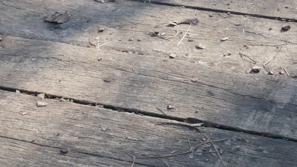 Slow tilt over old timber structure lighted naturally 4K 2160p 30fps UltraHD footage - Wooden bridge alt