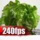 Green Salad 03 - VideoHive Item for Sale