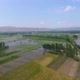 Rice Fields Aerial Video - VideoHive Item for Sale