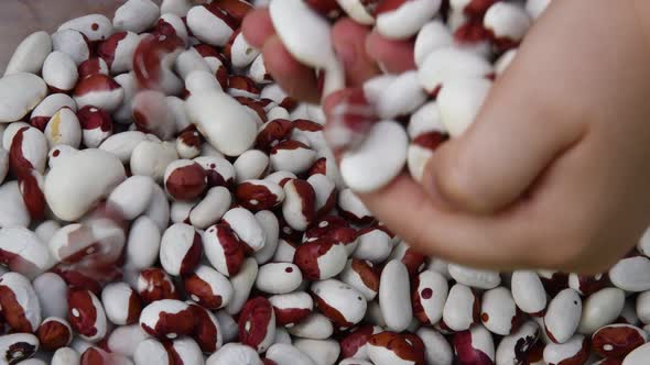 Child hands take kidney beans and pour from handful