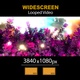 Widescreen Garden Branches Of Colorful Flowers Magic 03 - VideoHive Item for Sale