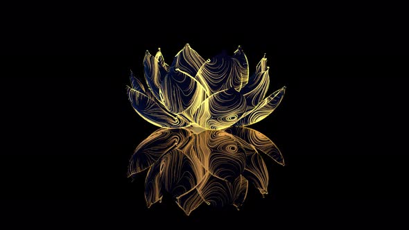 Golden Lotus